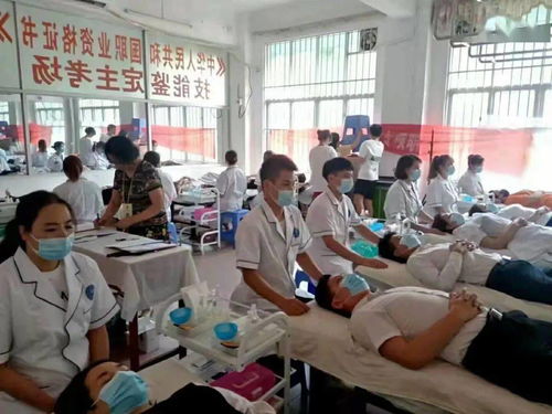 廣西職業資格多元化技能培訓體系概述